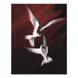 Crimson Skies Photo Print