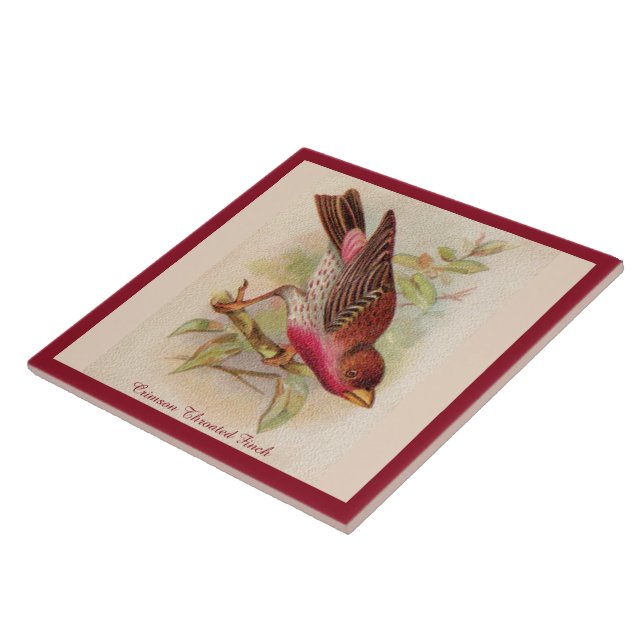 Crimson Throated Finch Bird Ceramic Tile (Side)