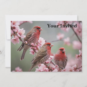 "Crimson Trio: Red Finches Amidst Pink Blooms" Invitation