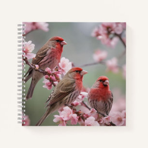 "Crimson Trio: Red Finches Amidst Pink Blooms" Notebook