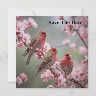 "Crimson Trio: Red Finches Amidst Pink Blooms" Save The Date
