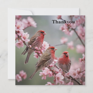 "Crimson Trio: Red Finches Amidst Pink Blooms" Thank You Card