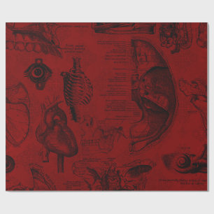 Crimson Vampyre Anatomy Wrapping Paper