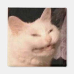 Cringe cat meme magnet