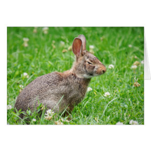 Cringe.  I Missed Your Birthday card