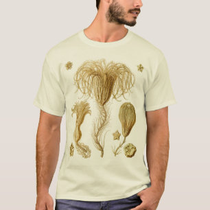 Crinoids T-Shirt