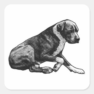 Crisp edge companion square sticker
