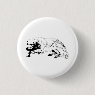 Crisp Focus Adds Distinctive Clarity 3 Cm Round Badge