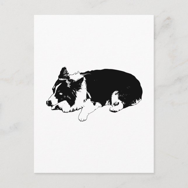 crisp hello, corgi calm postcard (Front)