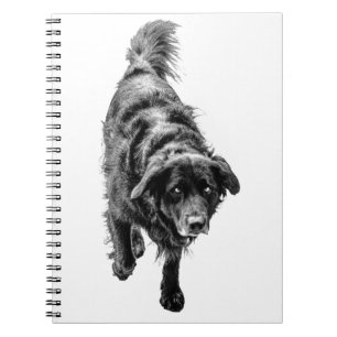 Crisp Leaf Sentinel Notebook