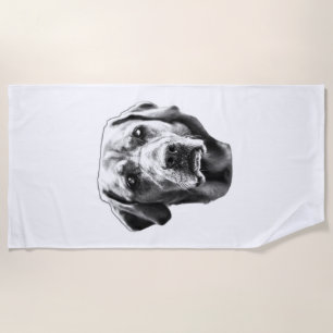 Crisp Night Sentinel Beach Towel