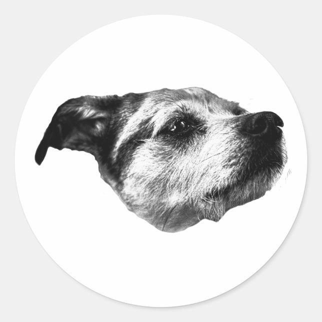 Crisp Night, Soft Paws — Terrier Classic Round Sticker (Front)