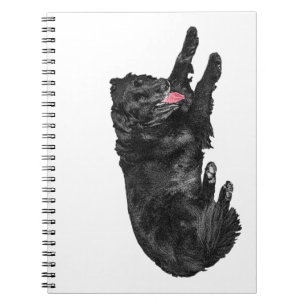 Crisp-Page Plans, Ember-Tongue Friend Notebook
