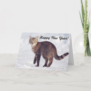 Crisp Snow Cat Happy New Year Card