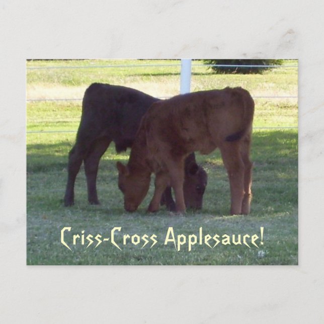 Criss-Cross Applesauce! Calves Postcard (Front)