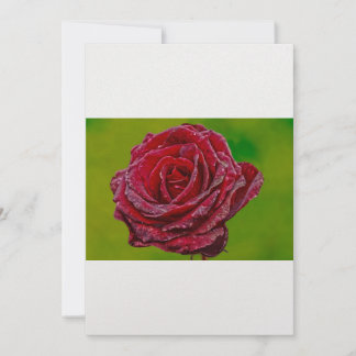 Cristmas Lover. Holiday Card