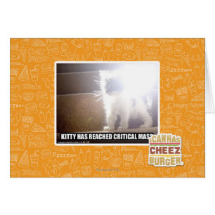 Critical Mass Kitty