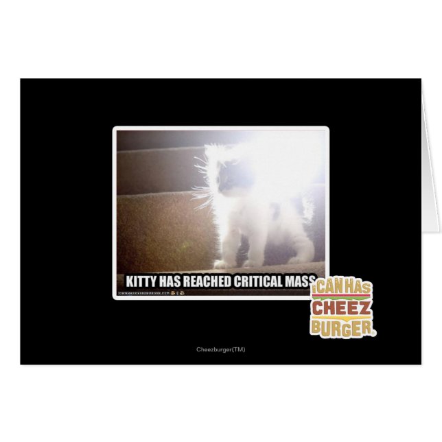 Critical Mass Kitty (Front Horizontal)