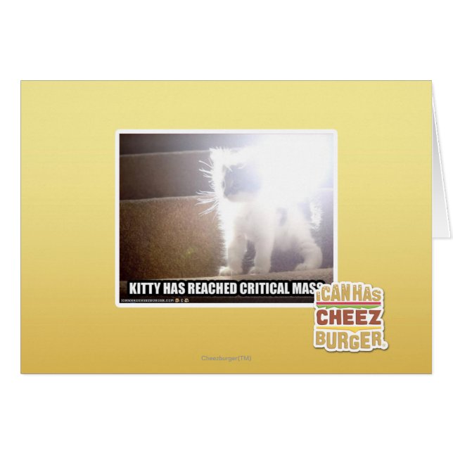 Critical Mass Kitty (Front Horizontal)