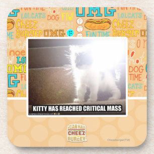 Critical Mass Kitty Coaster