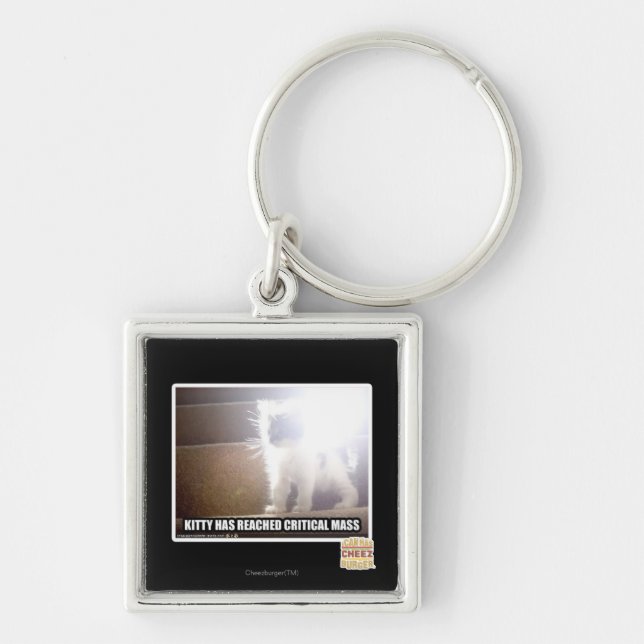 Critical Mass Kitty Key Ring (Front)