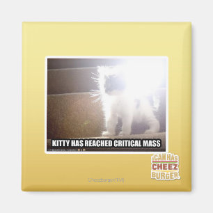 Critical Mass Kitty Magnet