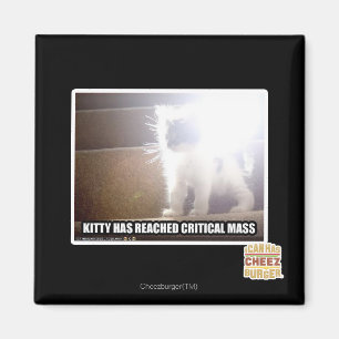 Critical Mass Kitty Magnet