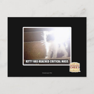 Critical Mass Kitty Postcard