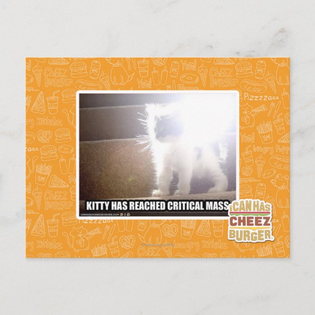 Critical Mass Kitty Postcard (Front)