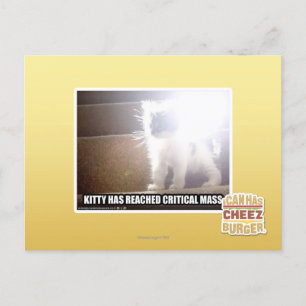 Critical Mass Kitty Postcard