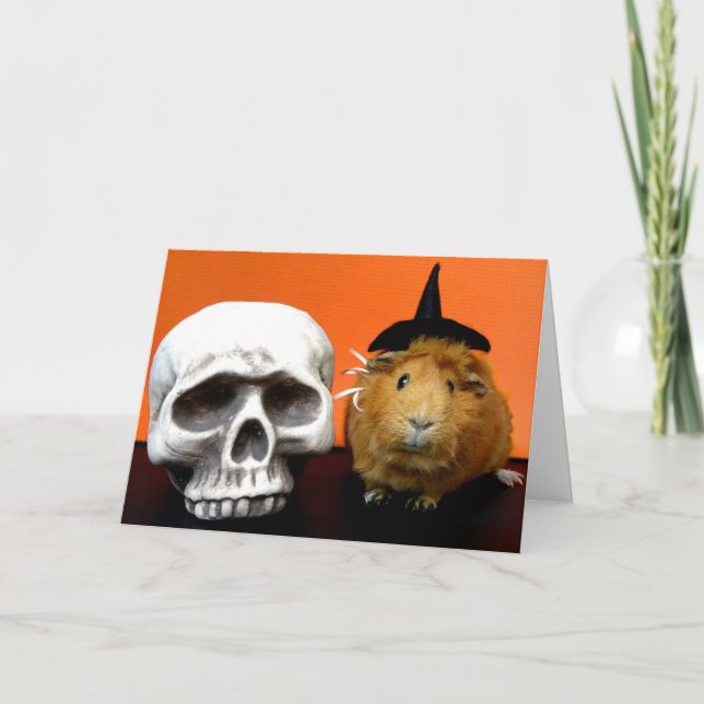 Critter of the Night Holiday Card (Front)