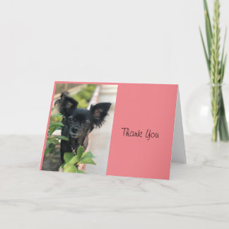 Critter Sitter LV LAGUNA Card