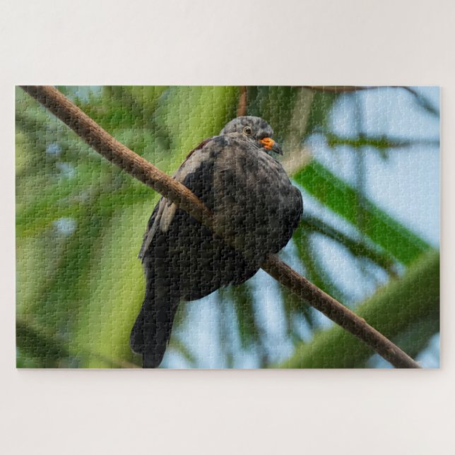 Croaking Ground Dove Jigsaw Puzzle (Horizontal)