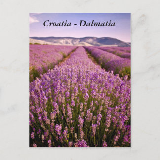 Croatia - Dalmatia Postcard