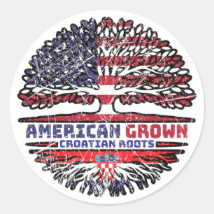 Croatian Croatia US American USA United States Classic Round Sticker