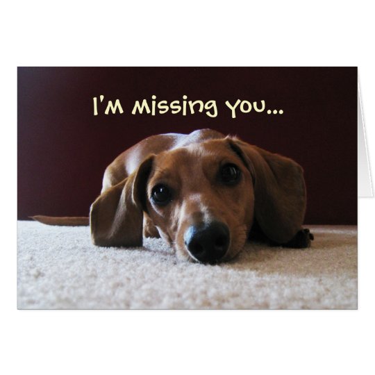 crockettsperfectpic, I'm missing you... Card