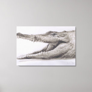 Crocodile 2005 canvas print
