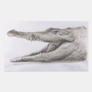 Crocodile 2005 rectangular sticker