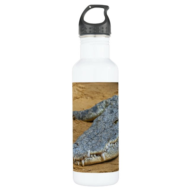 Crocodile 710 Ml Water Bottle (Front)