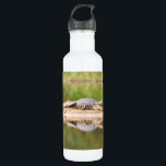 Crocodile 710 Ml Water Bottle<br><div class="desc">This image was taken on a boat trip on the Zambesi River between Namibia and Zambia.

© Angelika Stern</div>