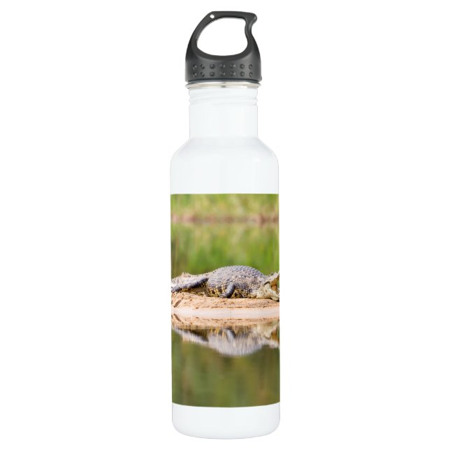 Crocodile 710 Ml Water Bottle (Front)