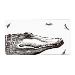 Crocodile alligator dragonflies fun art drawing