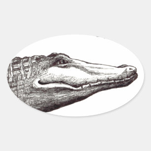 Crocodile alligator dragonflies fun art drawing oval sticker