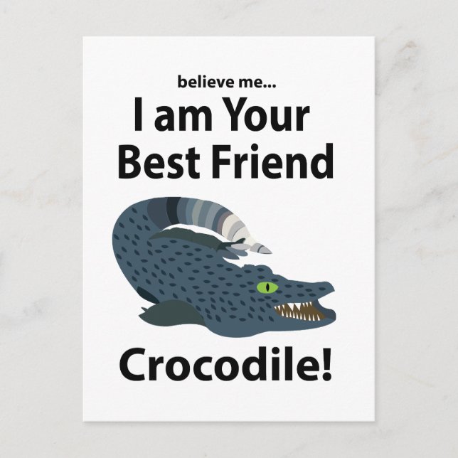 Crocodile Alligator Funny  Postcard (Front)