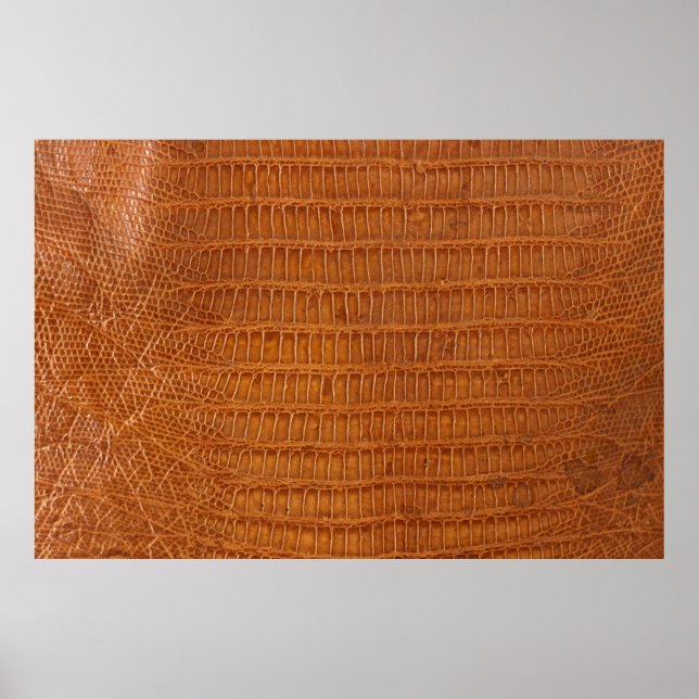 Crocodile alligator reptile leather texture close  poster (Front)