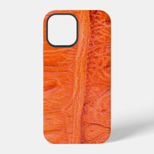 Crocodile belly skin texture background. This imag iPhone 12 Case