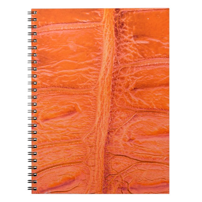 Crocodile belly skin texture background. This imag Notebook (Front)