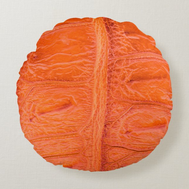 Crocodile belly skin texture background. This imag Round Cushion (Front)