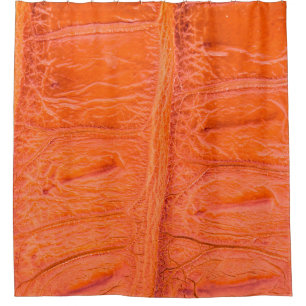Crocodile belly skin texture background. This imag Shower Curtain
