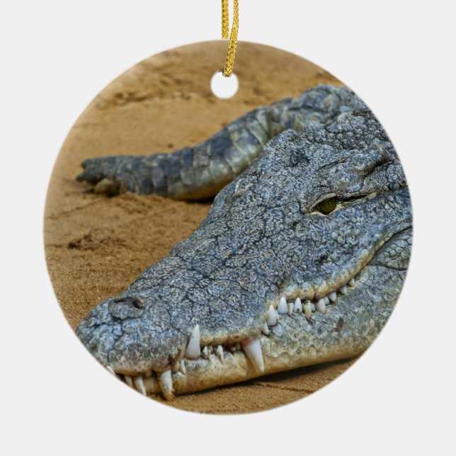 Crocodile Ceramic Tree Decoration (Front)